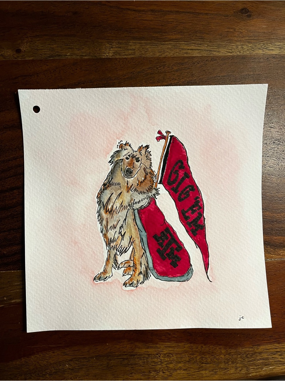 Texas A&M 8x8 original watercolor.  Art Print Featuring Collie Illustration.